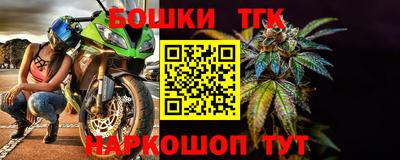 МДПВ Будённовск