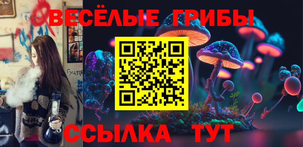 Галлюциногенные грибы Magic Shrooms  Вход с VPN  Псилоцибиновые грибы прущие грибы  Чехов 
